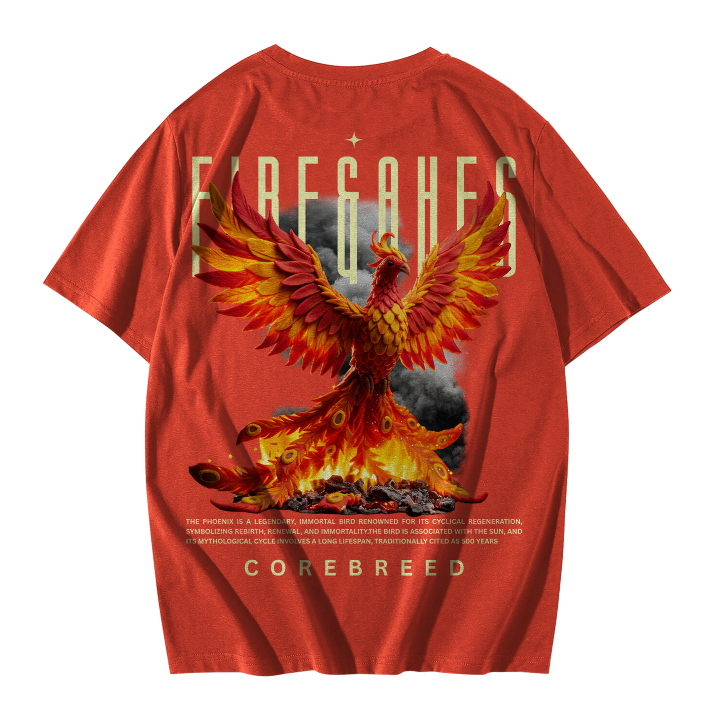 Aag aur Raakh -Premium Everyday Oversized Graphic Tee(Brick Red)