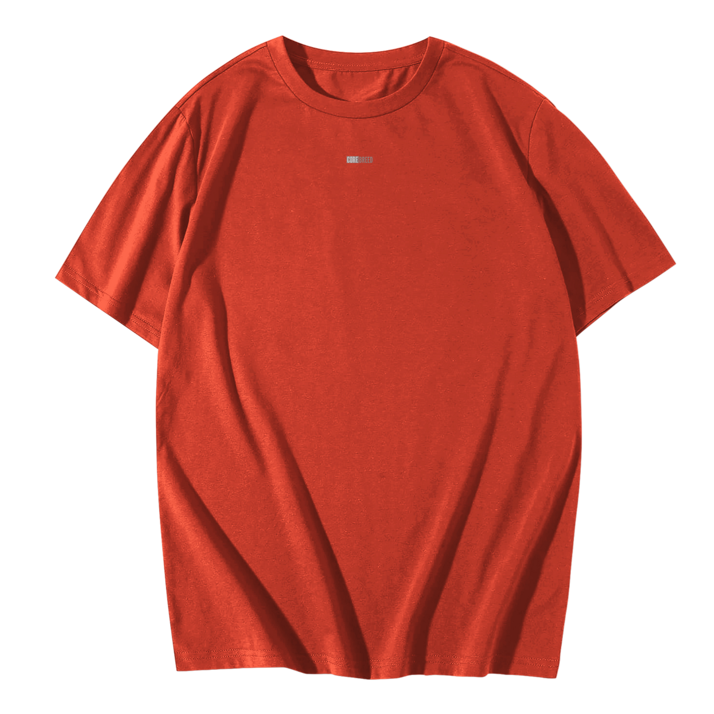 Aag aur Raakh -Premium Everyday Oversized Graphic Tee(Brick Red)